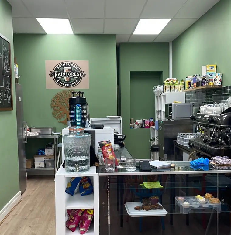 Inside The Rainforest: sage green walls, the cake counter and the coffee machine